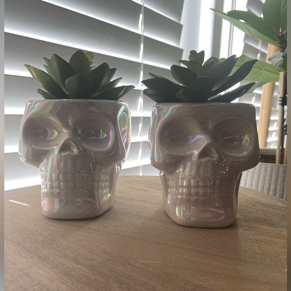 Iridescent Skull Planters with Faux Succulents Halloween Decor